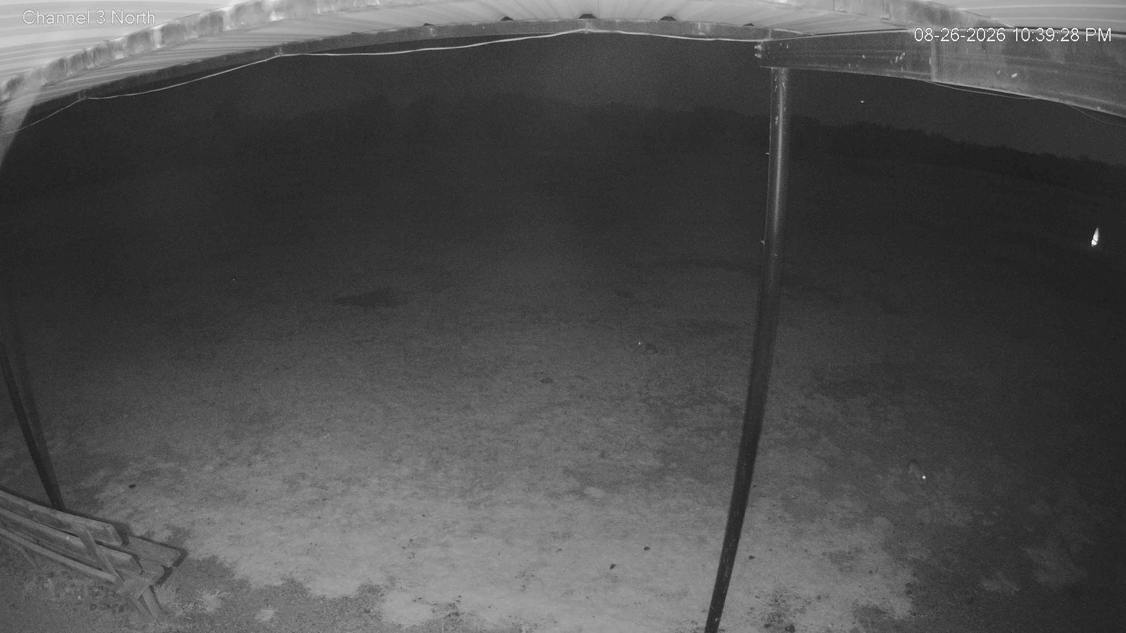 camera image